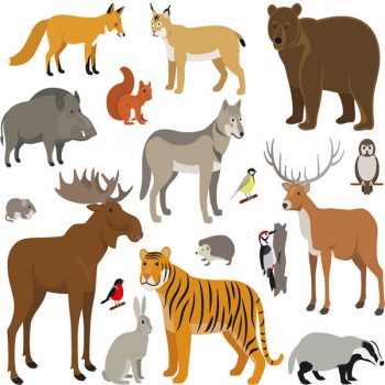 Set of Forest Animals free vector downloads - AioArt.com_0206201601