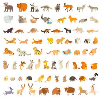Mammals of the world, extra big animals set free vector illustration - 0206201602