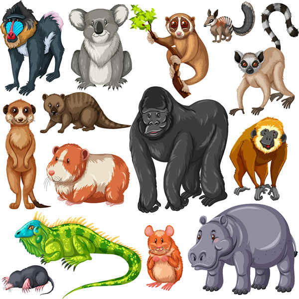 Different type of wildlife animals free vector downloads - 0206201603