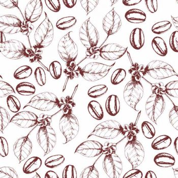 Seamless coffee background with branch of coffee and coffee beans, hand drawn illustration in sketch style - 1306201604