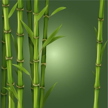 Green bamboo vector illustration free - 1606201602