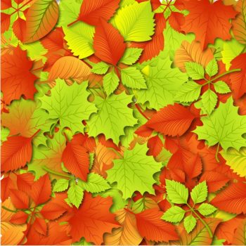 Autumn leaves background free vector