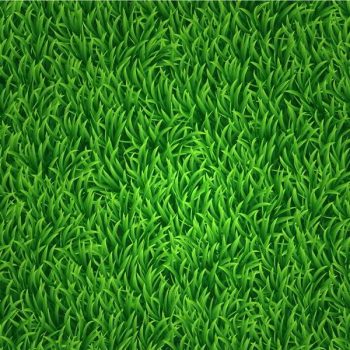 Green grass vector