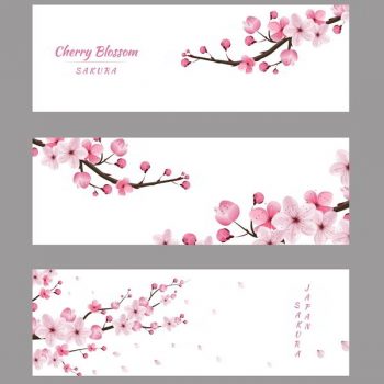 Cherry blossom collection vector - 2407201608