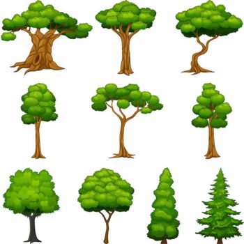 Diversity trees vector set - 2807201601
