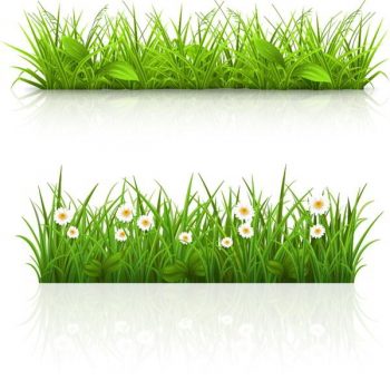 Green grass borders vector free