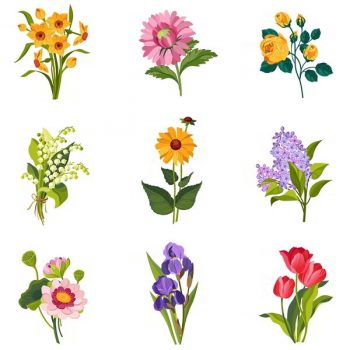 Beautiful colorful flowers vector